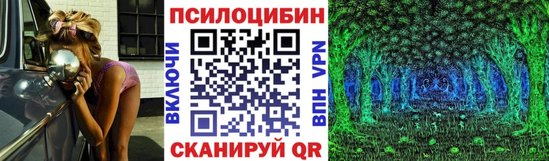 где продают Можга blacksprut зеркало Галлюциногенные грибы Psilocybe